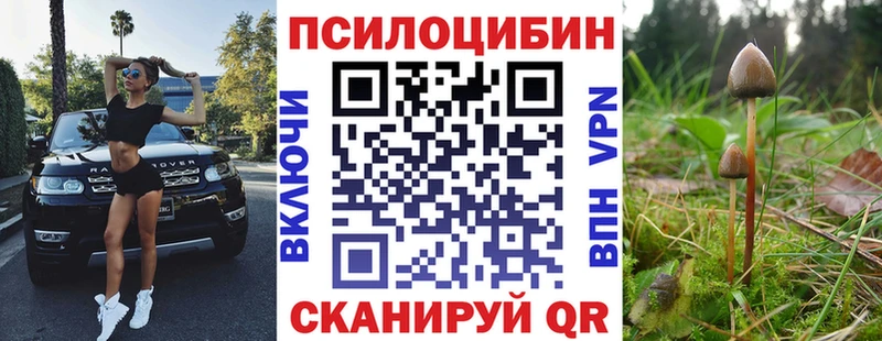 Купить  Дмитров  Псилоцибиновые грибы Psilocybe 